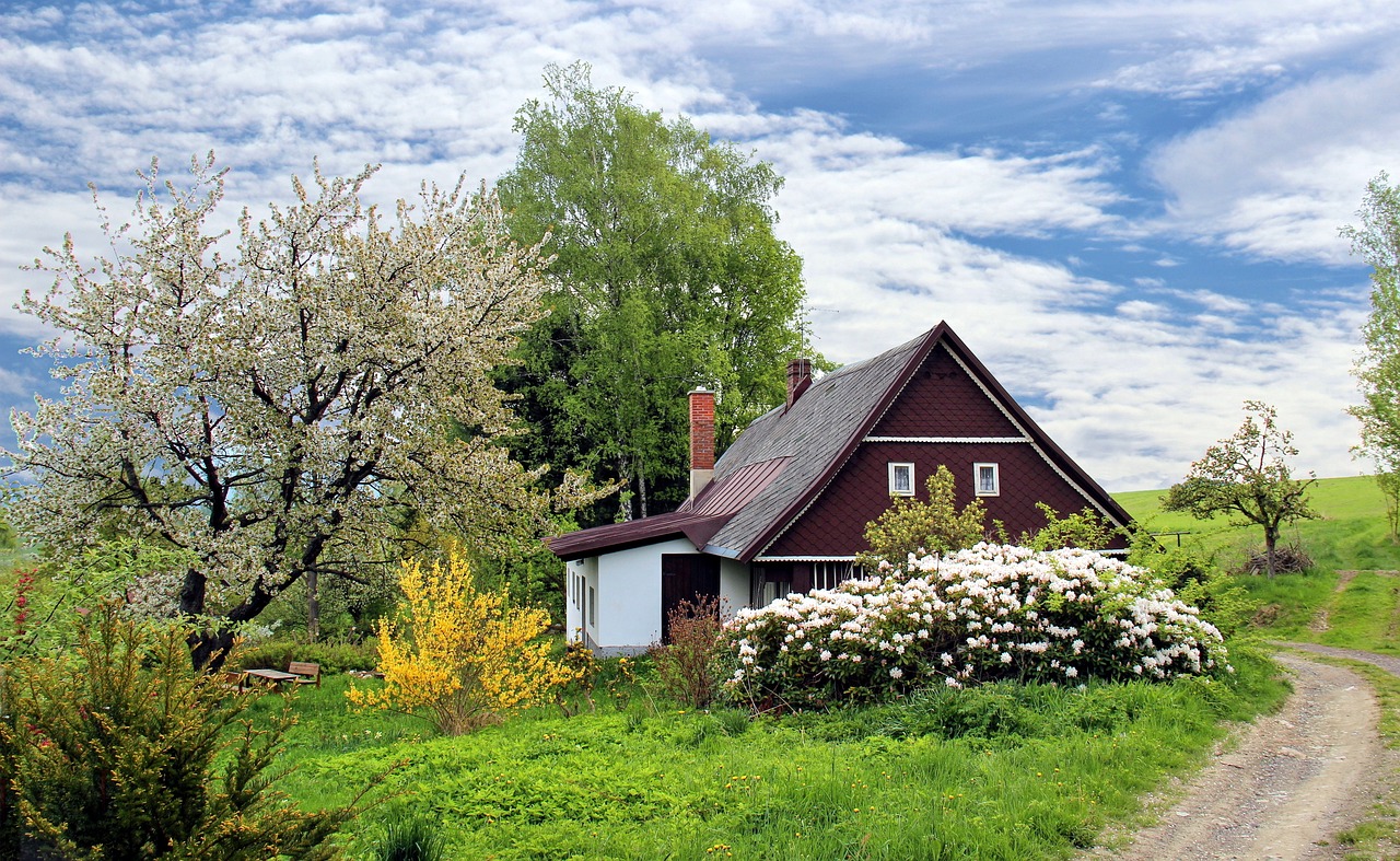 How to Start a Vegetable Garden in Your Backyard